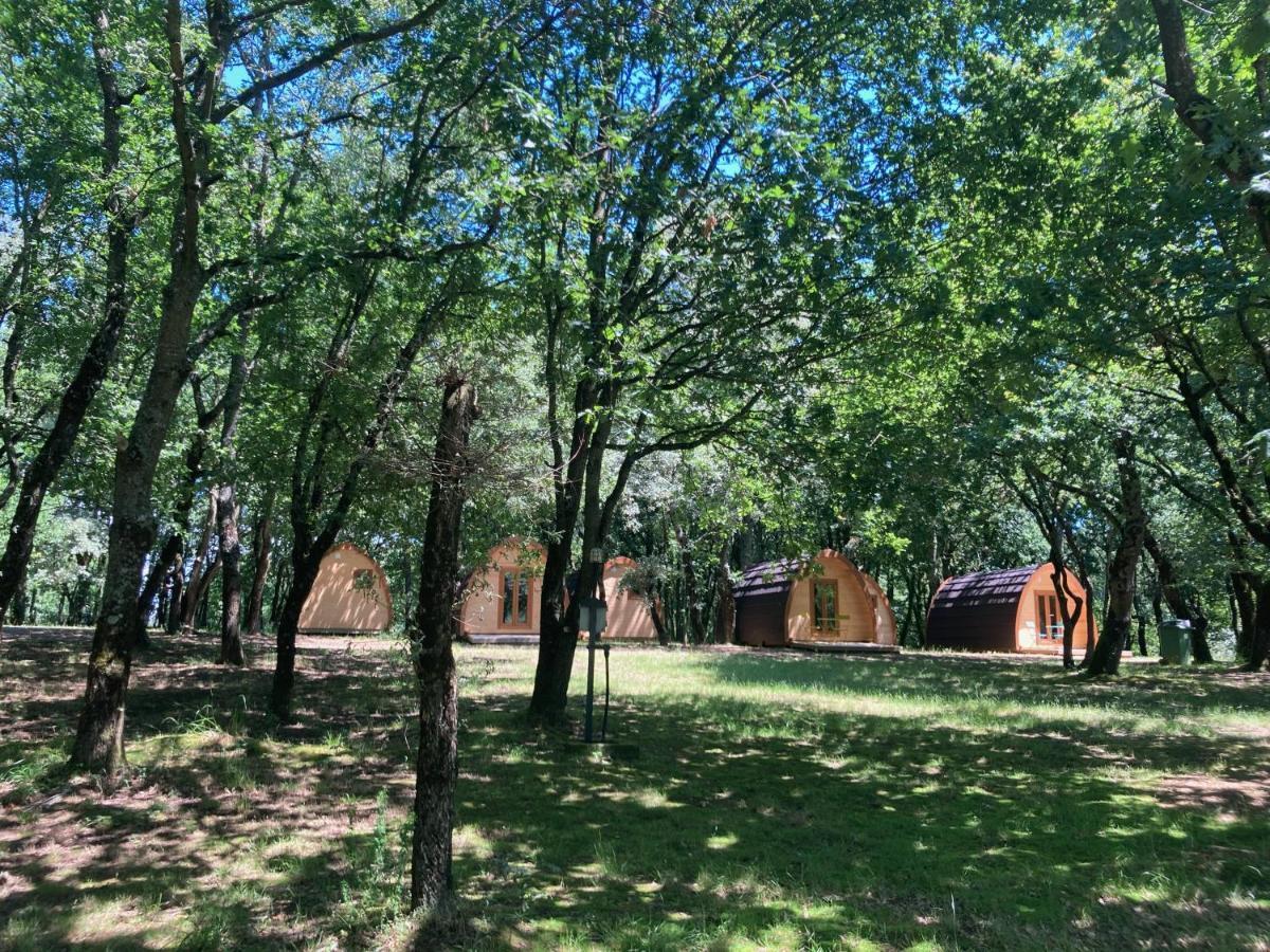 Camping Vila De Саррия Екстериор снимка