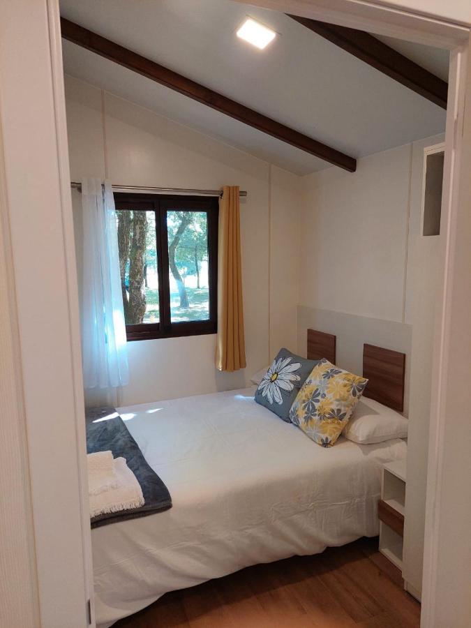 Camping Vila De Саррия Екстериор снимка
