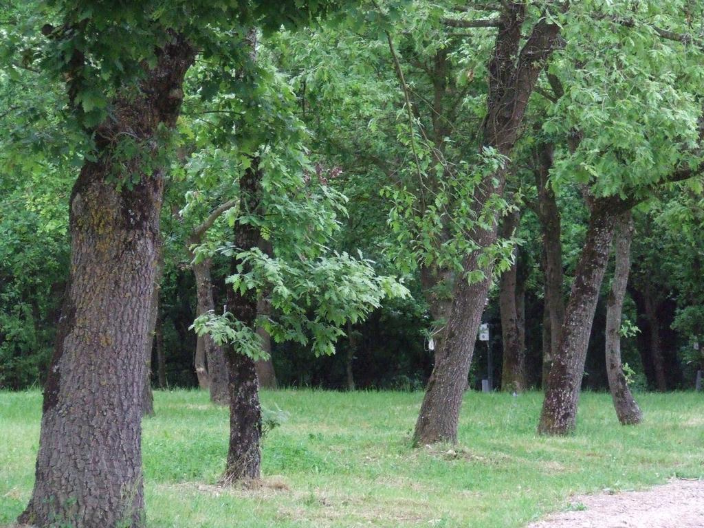 Camping Vila De Саррия Екстериор снимка